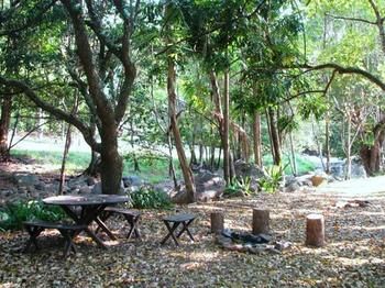 Mt Warning Holiday Park - Accommodation Kalgoorlie 2