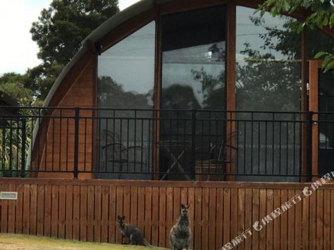 Bruny Island Accommodation 43 Degrees Beachside Studio Spa Apartments (1) - Accommodation Kalgoorlie 1