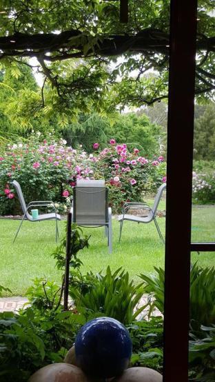 Wisteria Lodge - Accommodation Kalgoorlie 5