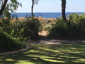On The Shores Of Geographe Bay - Accommodation Kalgoorlie 5