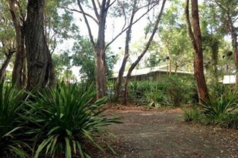 Port Stephens Koala Sanctuary - Accommodation Kalgoorlie 2