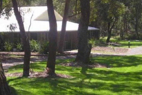 Port Stephens Koala Sanctuary - Accommodation Kalgoorlie 6