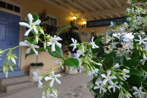 The Globe Inn - Accommodation Kalgoorlie 2