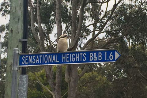 Sensational Heights Bed & Breakfast - Accommodation Kalgoorlie 2