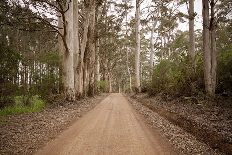 Sensational Heights Bed & Breakfast - Accommodation Kalgoorlie 1