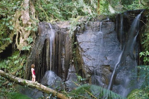 Chambers Wildlife Rainforest Lodges - Accommodation Kalgoorlie 1