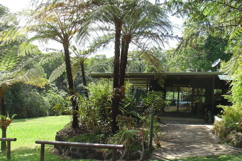 Chambers Wildlife Rainforest Lodges - Accommodation Kalgoorlie 3