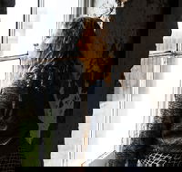 Cape Otway Lightstation - Accommodation Kalgoorlie