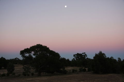 Boroka Downs - Accommodation Kalgoorlie 0