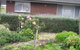 Motel Warrnambool - thumb 2