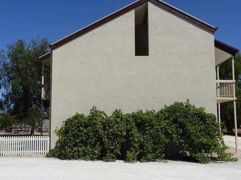 Coonawarra Motor Lodge - Accommodation Kalgoorlie 0