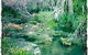 Twin Falls Bush Cottages - thumb 2