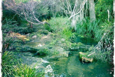 Twin Falls Bush Cottages - Accommodation Kalgoorlie 2