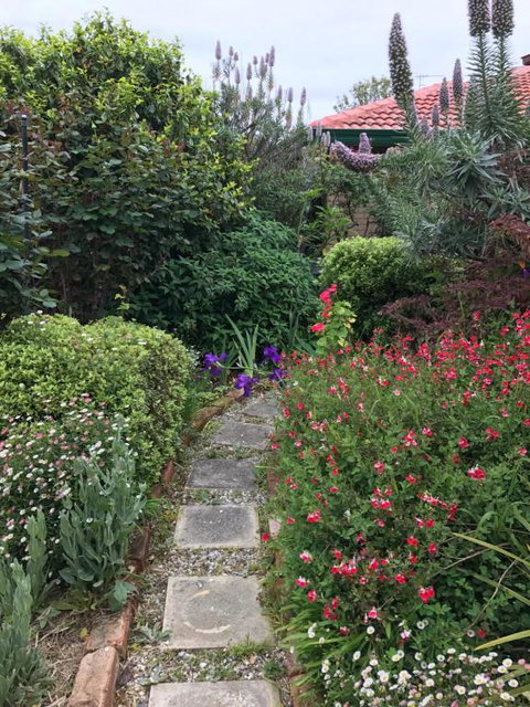 Admurraya House Bed & Breakfast - Accommodation Kalgoorlie 4