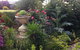 Admurraya House Bed & Breakfast - thumb 6