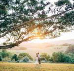 Cedia at Byron Bay Hinterland - Accommodation Kalgoorlie