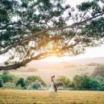 Cedia At Byron Bay Hinterland - Accommodation Kalgoorlie 0