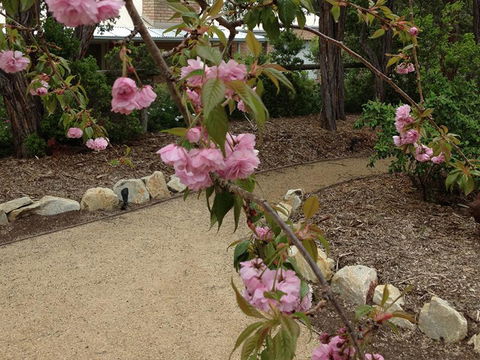 Silverleaf Cottage - Accommodation Kalgoorlie 2