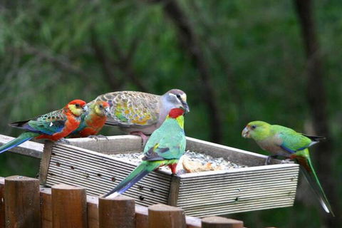 Honeymoon View - Accommodation Kalgoorlie 5