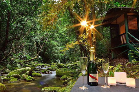 Misty Mountains Rainforest Retreat - Accommodation Kalgoorlie 3