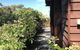 The Goat And Goose B&B - thumb 1