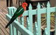 The Goat And Goose B&B - thumb 5