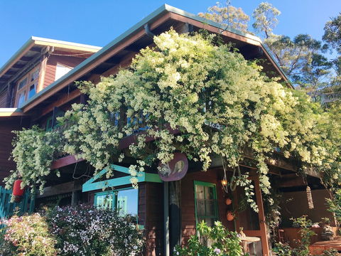 The Goat And Goose B&B - Accommodation Kalgoorlie 4