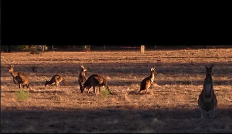 Busselton Guest House - Accommodation Kalgoorlie 3