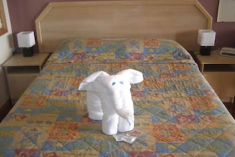 Koala Tree Motel - Accommodation Kalgoorlie 5