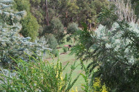 Riverwood Retreat - Accommodation Kalgoorlie 4