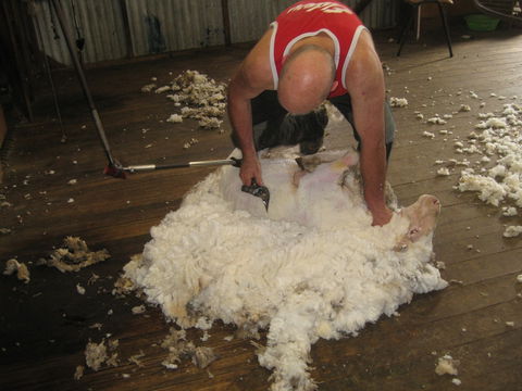 Taras Richmond Farmstay - Accommodation Kalgoorlie 1