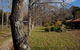 Birdwing Bed & Breakfast Weegena - thumb 2