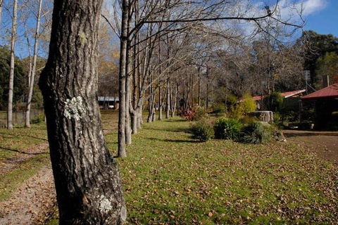 Birdwing Bed & Breakfast Weegena - Accommodation Kalgoorlie 2