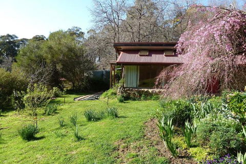 Birdwing Bed & Breakfast Weegena - Accommodation Kalgoorlie 5