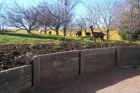 Valleyfield Cottage - Accommodation Kalgoorlie 4