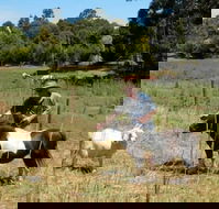 Country Cottages of Bridgetown - Accommodation Kalgoorlie