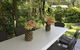 Lemon Tree Cottage Bendeela - thumb 6