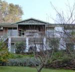 Sea Banksia - Accommodation Kalgoorlie