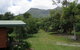 Cape Trib Farmstay - thumb 5
