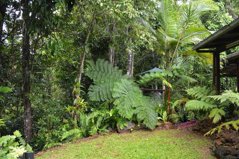Tropical Bliss Bed & Breakfast - Accommodation Kalgoorlie 6