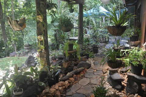 Tropical Bliss Bed & Breakfast - Accommodation Kalgoorlie 2