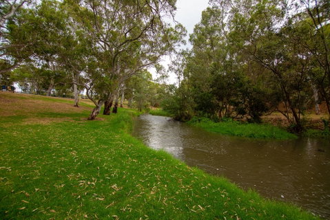 Windsor Gardens Caravan Park - Accommodation Kalgoorlie 6