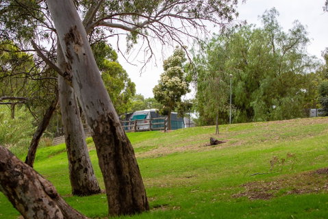 Windsor Gardens Caravan Park - Accommodation Kalgoorlie 0