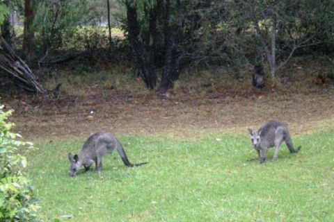 Wombatalla - Accommodation Kalgoorlie 7