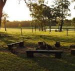 Wallaby Cottage cute Accom in bushland setting - Accommodation Kalgoorlie