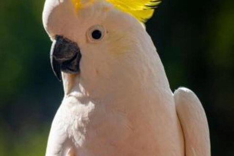 Jugoon - Accommodation Kalgoorlie 3