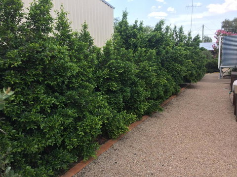 Gulgong Telegraph Station - Accommodation Kalgoorlie 5