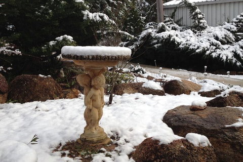 Glen Aplin Gardens B&B - Accommodation Kalgoorlie 4