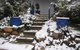 Glen Aplin Gardens B&B - thumb 2