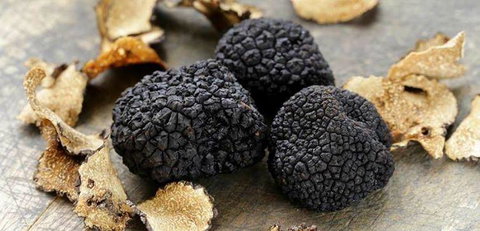 Lord Cardigan - Accommodation Kalgoorlie 0